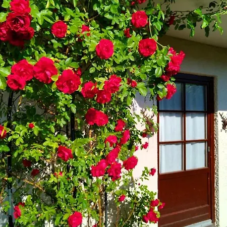 Ferienwohnung Heidi Mit Oberstaufen Plus Exterior photo