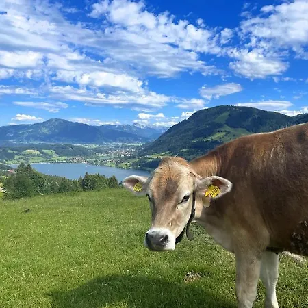 Ferienwohnung Heidi Mit Oberstaufen Plus Exterior photo