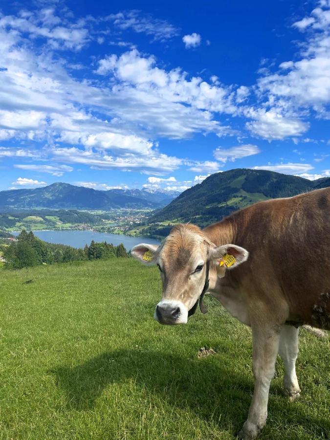 Heidi Mit