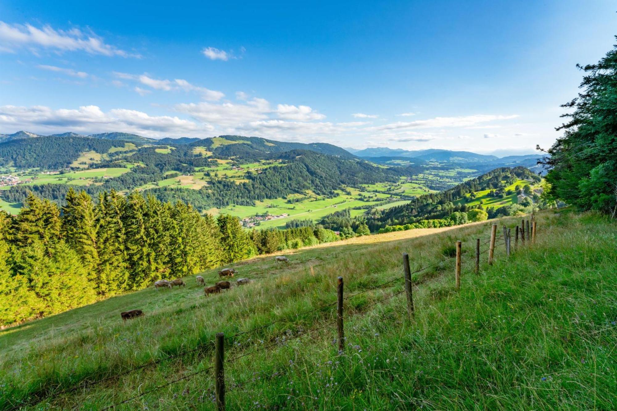 Heidi Mit Oberstaufen